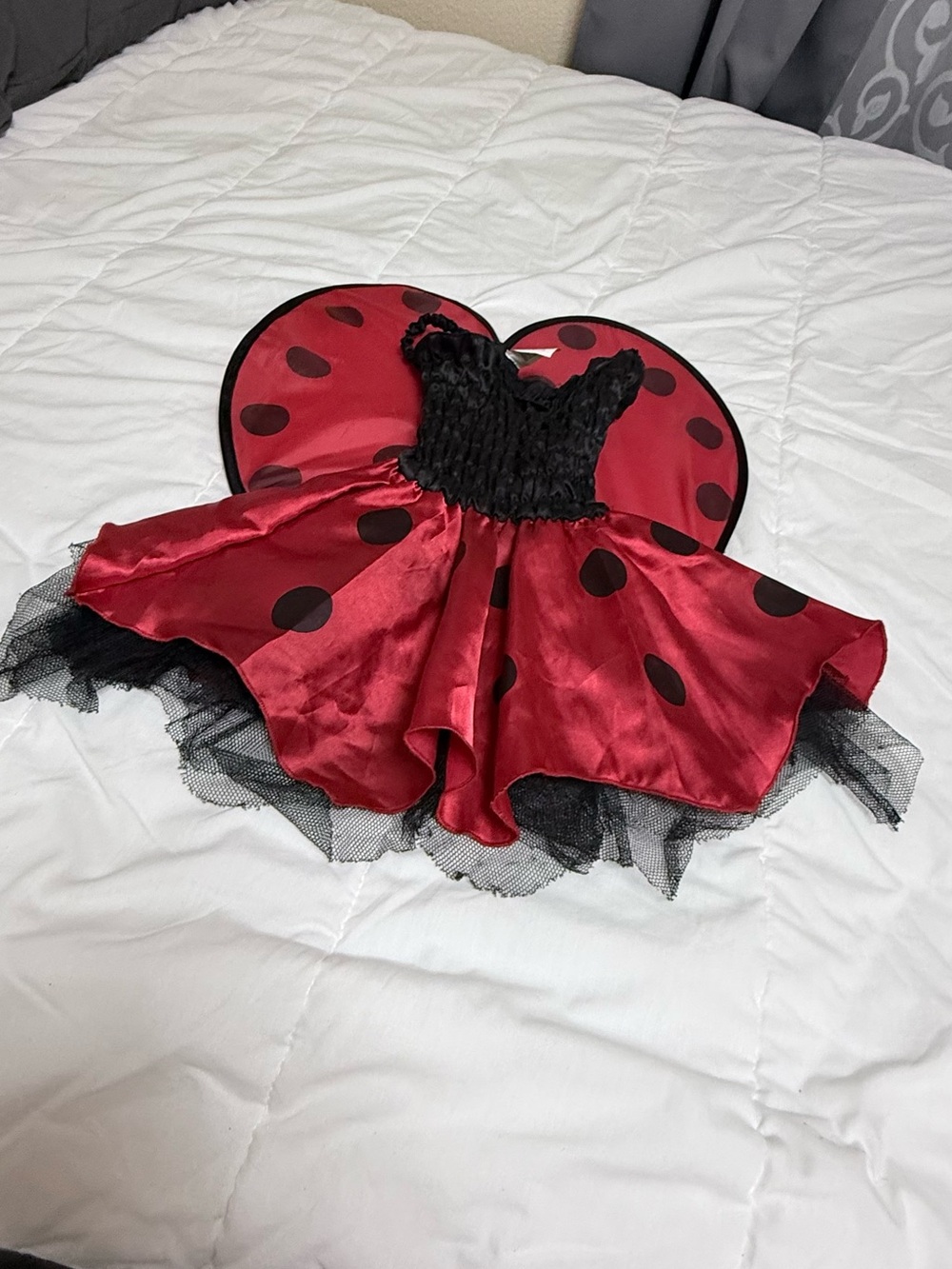 Girls Red and Black Ladybug Halloween Costume with Wings